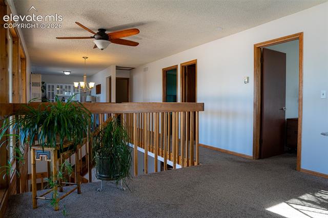 MLS Image for 3170  Tiffany  ,Colorado Springs, Colorado