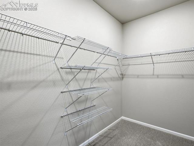 MLS Image for 10172  Hartwood  ,Peyton, Colorado