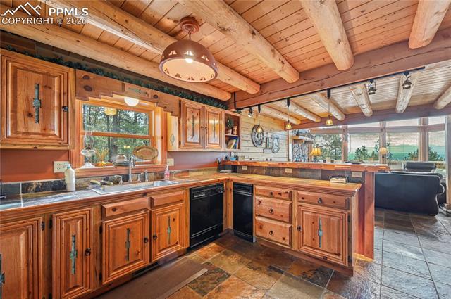 MLS Image for 3613  Trail Creek  ,Florissant, Colorado
