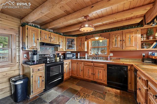 MLS Image for 3613  Trail Creek  ,Florissant, Colorado