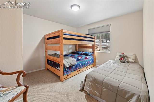 MLS Image for 3613  Trail Creek  ,Florissant, Colorado