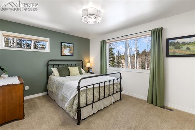 MLS Image for 2865  Sunnywood  ,Woodland Park, Colorado