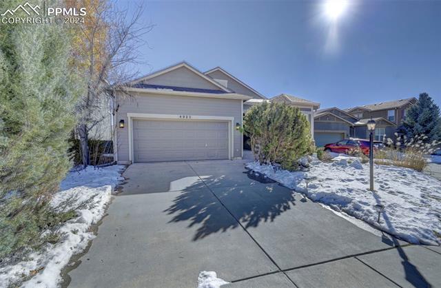 MLS Image for 4923  Rabbit Mountain  ,Colorado Springs, Colorado