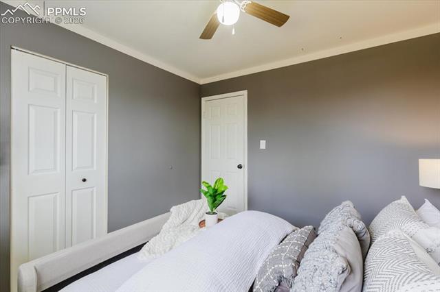 MLS Image for 1815  Montezuma  ,Colorado Springs, Colorado