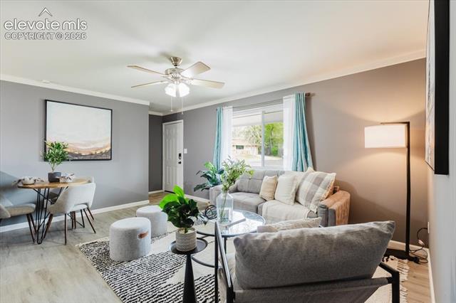 MLS Image for 1815  Montezuma  ,Colorado Springs, Colorado