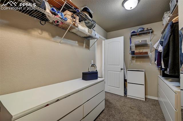 MLS Image for 6755  Gold Drop  ,Colorado Springs, Colorado