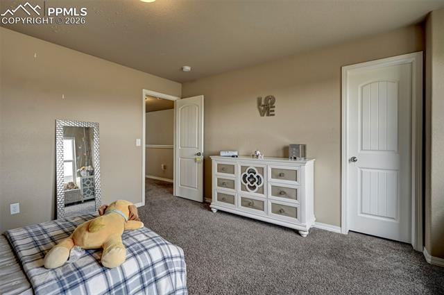 MLS Image for 6755  Gold Drop  ,Colorado Springs, Colorado