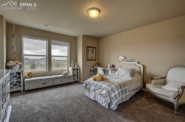 MLS Image for 6755  Gold Drop  ,Colorado Springs, Colorado
