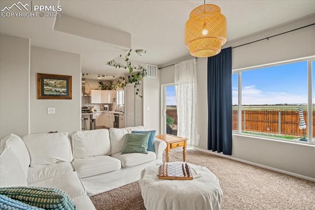 MLS Image for 3726  Raccoon  ,Pueblo, Colorado