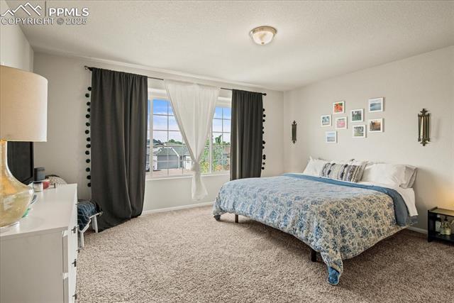 MLS Image for 3726  Raccoon  ,Pueblo, Colorado