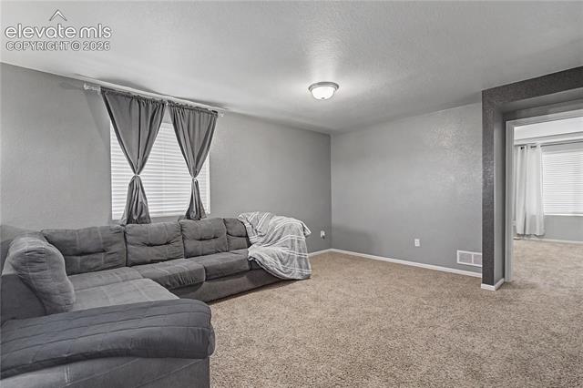 MLS Image for 8355  Colorado Spruce  ,Colorado Springs, Colorado