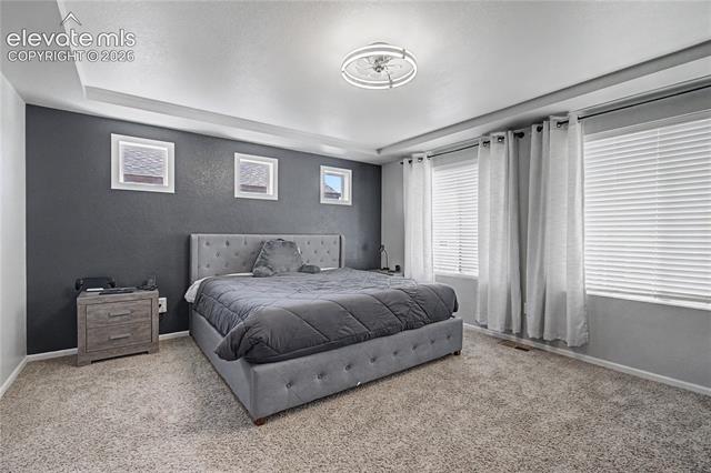MLS Image for 8355  Colorado Spruce  ,Colorado Springs, Colorado