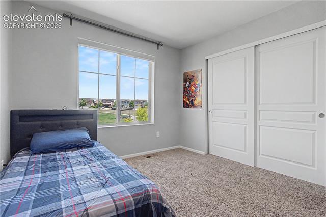 MLS Image for 8355  Colorado Spruce  ,Colorado Springs, Colorado