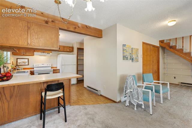 MLS Image for 1400  Blackfoot  ,Woodland Park, Colorado