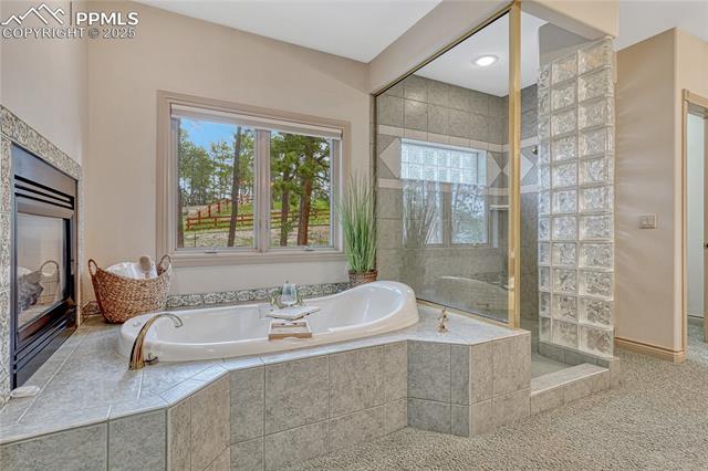 MLS Image for 16150  Cliffrock  ,Colorado Springs, Colorado