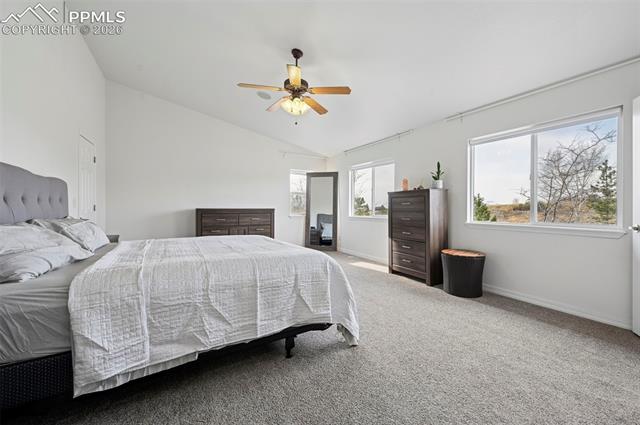 MLS Image for 3360  Sugar Pine  ,Colorado Springs, Colorado