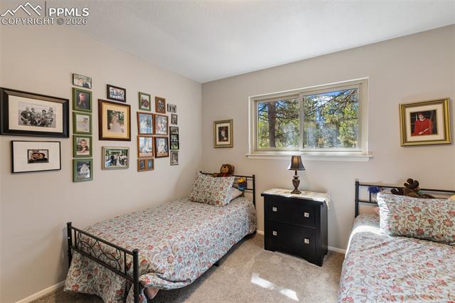 MLS Image for 702  Sunnywood  ,Woodland Park, Colorado