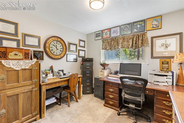 MLS Image for 702  Sunnywood  ,Woodland Park, Colorado