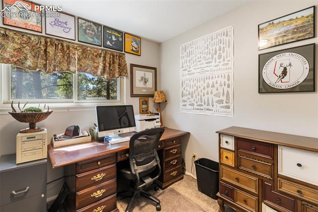 MLS Image for 702  Sunnywood  ,Woodland Park, Colorado