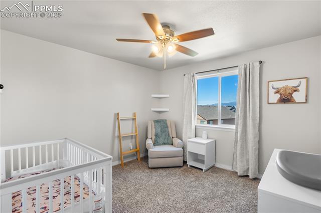 MLS Image for 6186  Popper  ,Colorado Springs, Colorado