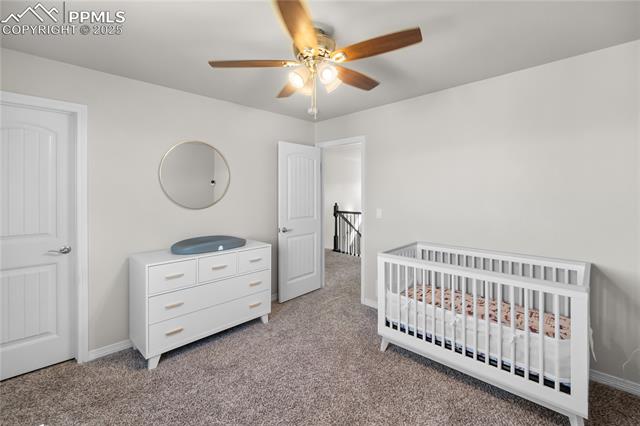 MLS Image for 6186  Popper  ,Colorado Springs, Colorado