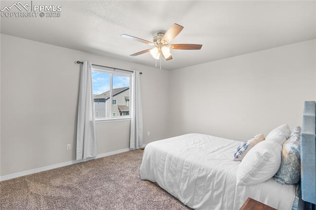 MLS Image for 6186  Popper  ,Colorado Springs, Colorado