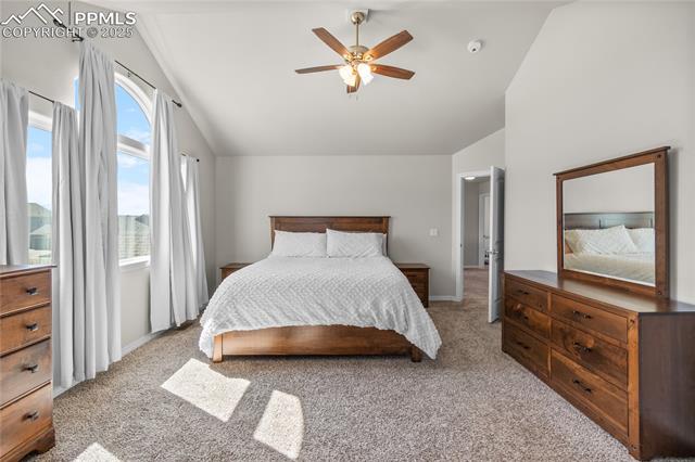 MLS Image for 6186  Popper  ,Colorado Springs, Colorado