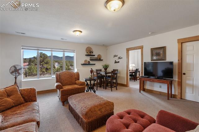 MLS Image for 1321  Masters  ,Woodland Park, Colorado