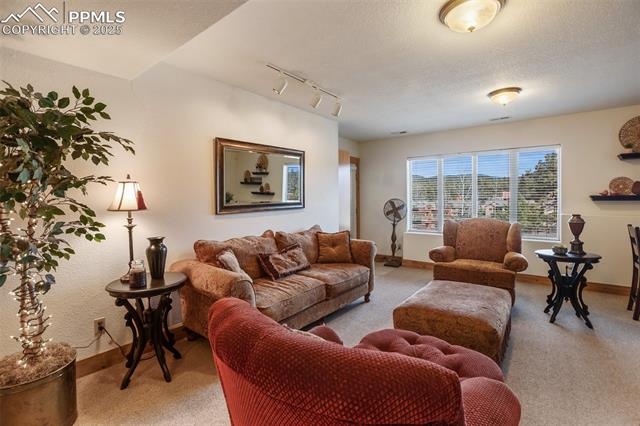 MLS Image for 1321  Masters  ,Woodland Park, Colorado