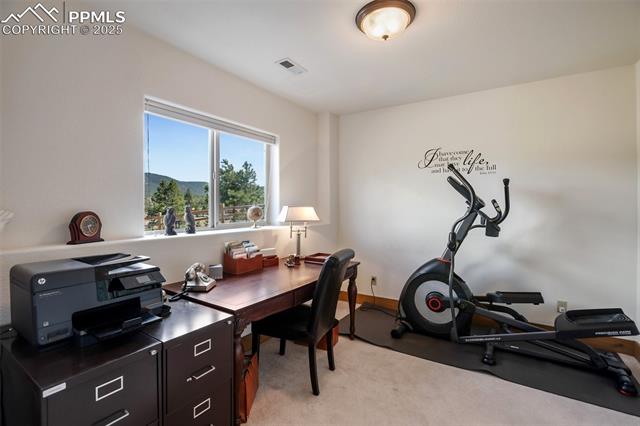MLS Image for 1321  Masters  ,Woodland Park, Colorado