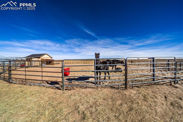 MLS Image for 24225  Myers  ,Colorado Springs, Colorado