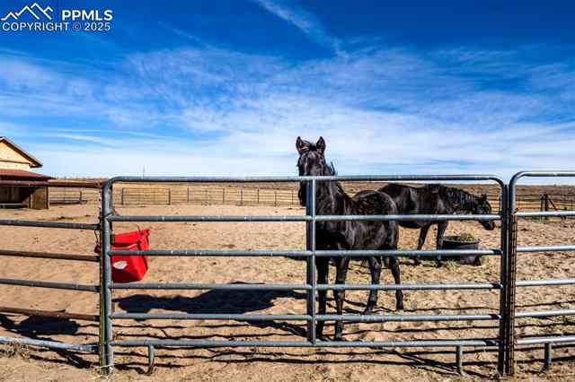 MLS Image for 24225  Myers  ,Colorado Springs, Colorado