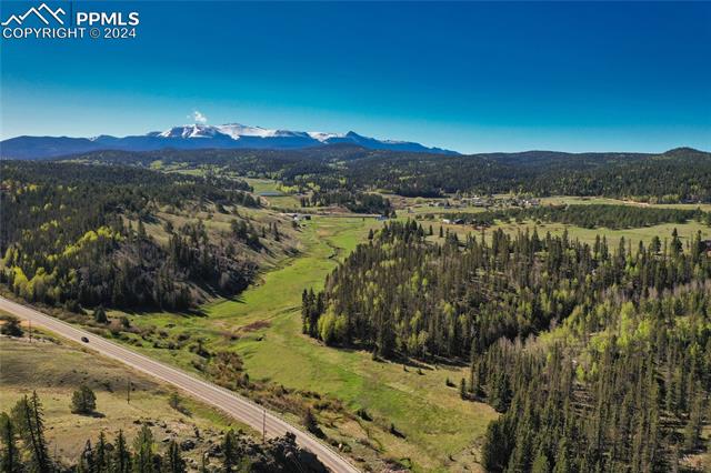 MLS Image for 3579  County Road 42  ,Florissant, Colorado