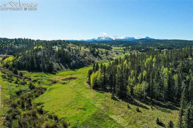 MLS Image for 3579  County Road 42  ,Florissant, Colorado