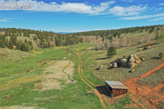 MLS Image for 3579  County Road 42  ,Florissant, Colorado