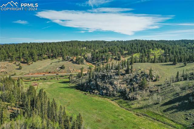 MLS Image for 3579  County Road 42  ,Florissant, Colorado