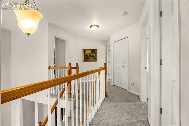 MLS Image for 9883  Red Sage  ,Colorado Springs, Colorado