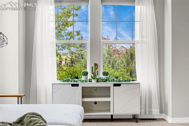 MLS Image for 9883  Red Sage  ,Colorado Springs, Colorado