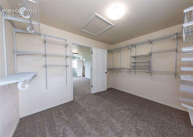 MLS Image for 4310  Begonia  ,Colorado Springs, Colorado