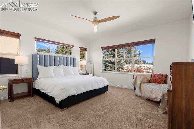 MLS Image for 2663  Cinnabar  ,Colorado Springs, Colorado