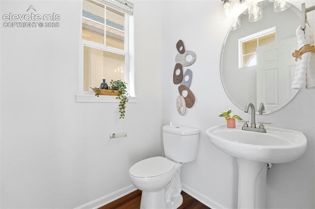 MLS Image for 4362  Alder Springs  Bldg C ,Colorado Springs, Colorado