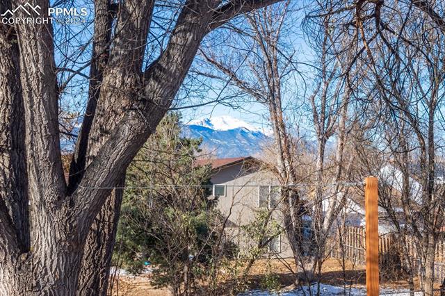 MLS Image for 2520  Nadine  ,Colorado Springs, Colorado