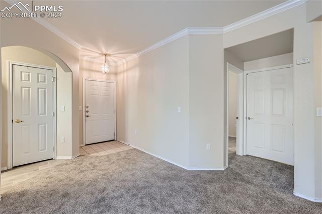 MLS Image for 3715  Riviera  103 ,Colorado Springs, Colorado