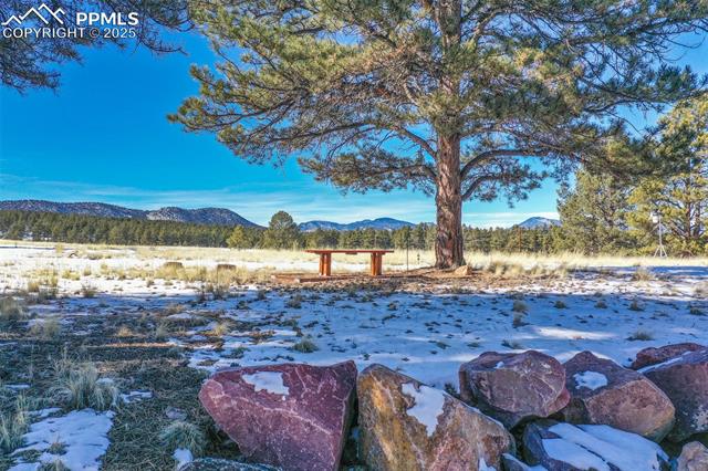 MLS Image for 2860  County Road 46  ,Florissant, Colorado