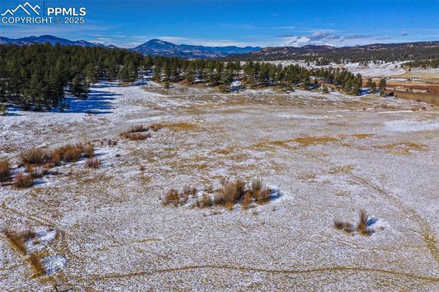 MLS Image for 2860  County Road 46  ,Florissant, Colorado