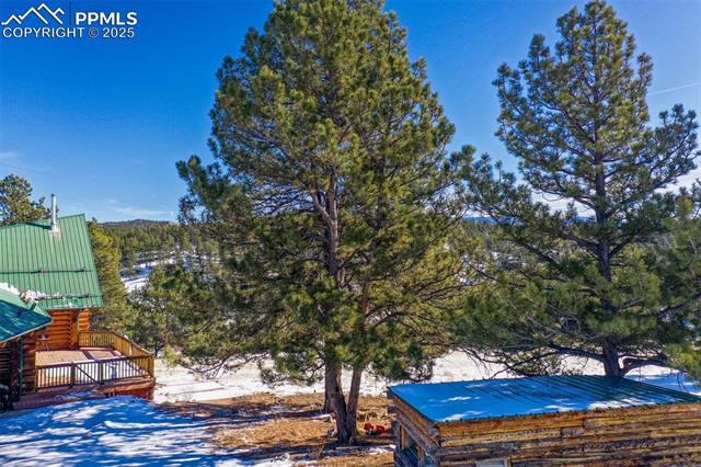 MLS Image for 2860  County Road 46  ,Florissant, Colorado