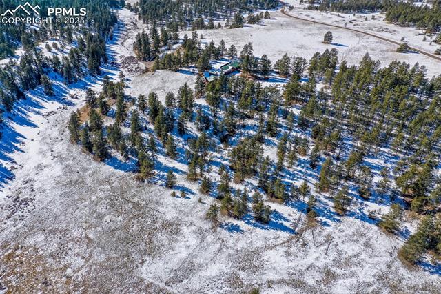 MLS Image for 2860  County Road 46  ,Florissant, Colorado