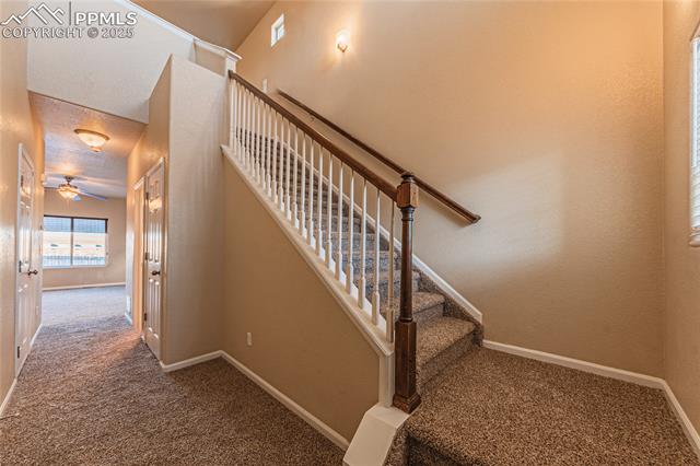 MLS Image for 6444  Marilee  ,Colorado Springs, Colorado