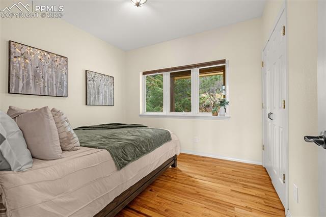 MLS Image for 25  Leaming  ,Colorado Springs, Colorado
