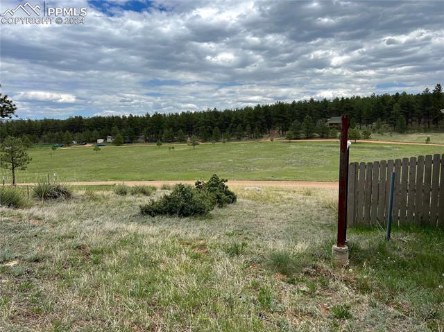 MLS Image for 777  Wilson  ,Florissant, Colorado